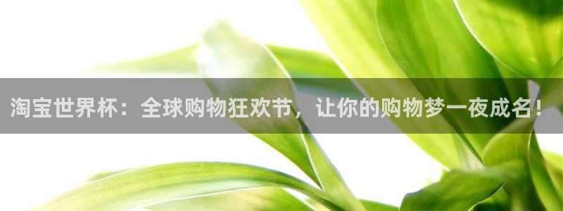 世界杯预选赛：淘宝世界杯：全球购物狂欢节，让你的购物梦一夜成名！