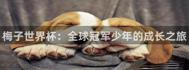 2026世界杯直播：梅子世界杯：全球冠军少年的成长之旅
