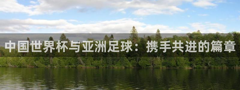 世界杯视频：中国世界杯与亚洲足球：携手共进的篇章