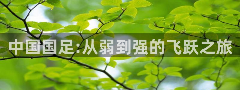 英格兰联赛杯直播：中国国足:从弱到强的飞跃之旅