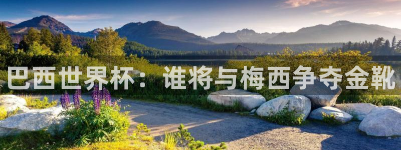 世界杯赛程2026：巴西世界杯：谁将与梅西争夺金靴