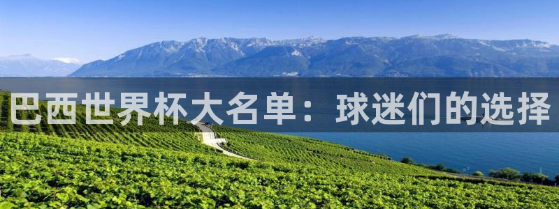 世界杯赛程2026：巴西世界杯大名单：球迷们的选择