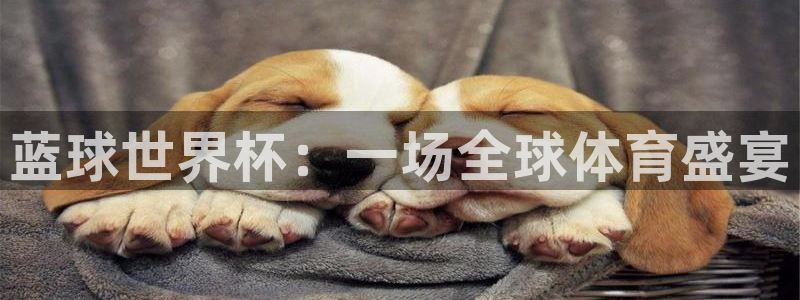 世界杯直播：蓝球世界杯：一场全球体育盛宴