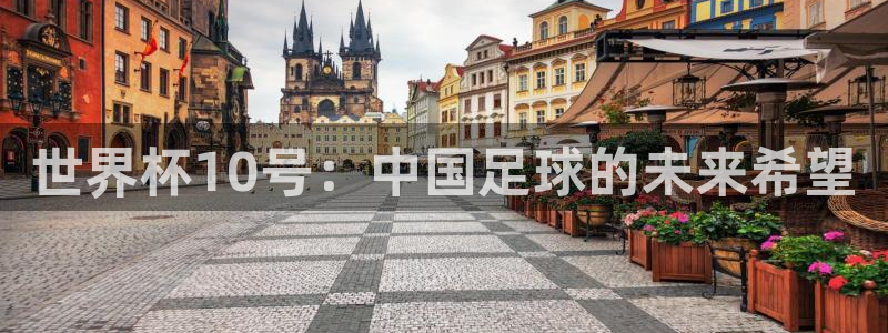 世界杯直播网站：世界杯10号：中国足球的未来希望