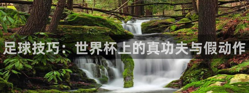 世界杯女足直播：足球技巧：世界杯上的真功夫与假动作