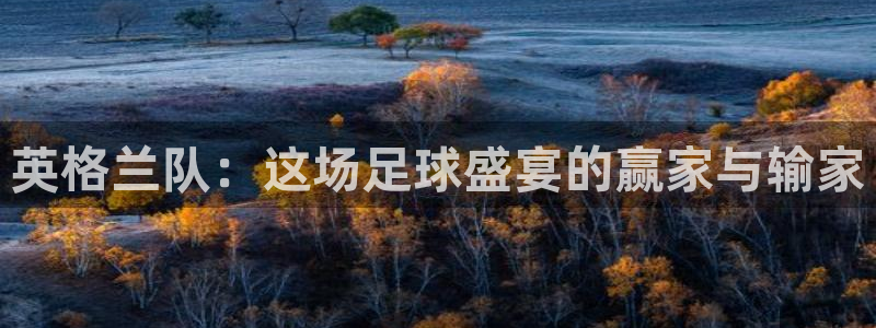 世界杯足球2026：英格兰队：这场足球盛宴的赢家与输家
