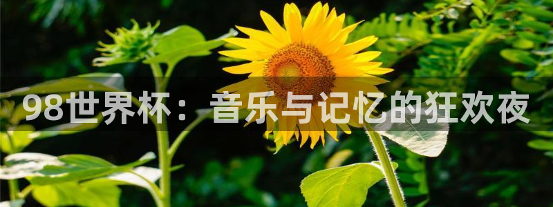 今年的世界杯：98世界杯：音乐与记忆的狂欢夜