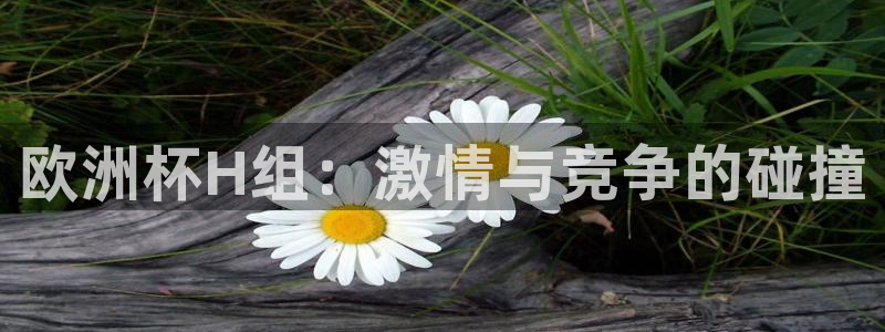 2026世界杯亚洲区预选赛赛程：欧洲杯H组：激情与竞争的碰撞