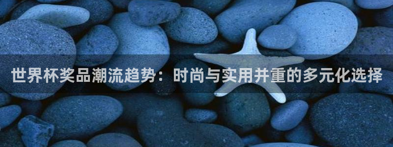 2026世界杯亚洲预选赛赛程：世界杯奖品潮流趋势：时尚与实用并重的多元化选择