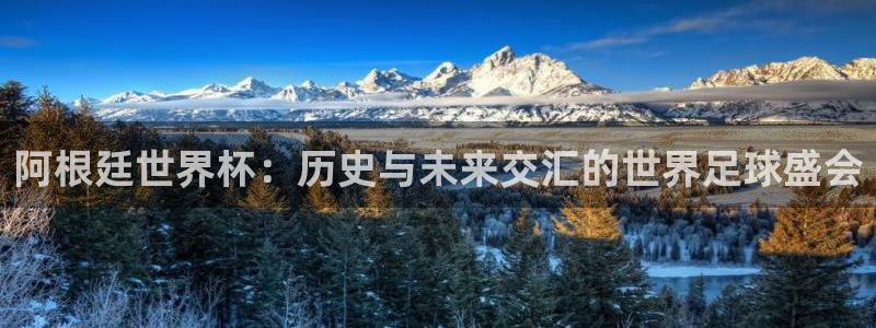 2026足球世界杯赛程：阿根廷世界杯：历史与未来交汇的世界足球盛会