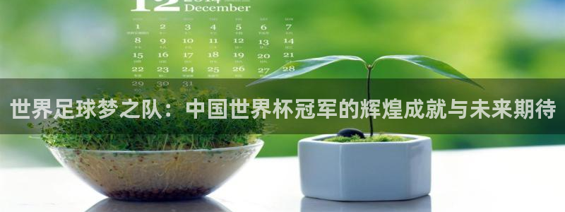 世界杯赛程时间表：世界足球梦之队：中国世界杯冠军的辉煌成就与未来期待