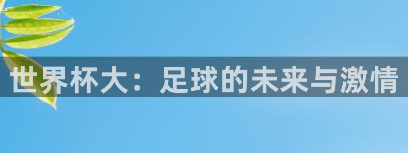 世界杯对阵图2026：世界杯大：足球的未来与激情