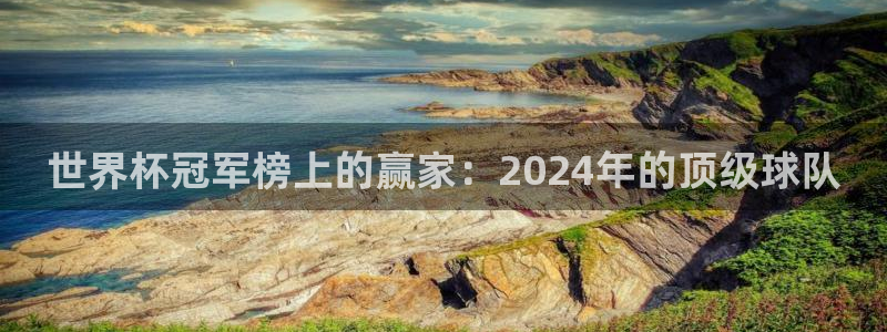 世界杯葡萄牙赛程：世界杯冠军榜上的赢家：2024年的顶级球队