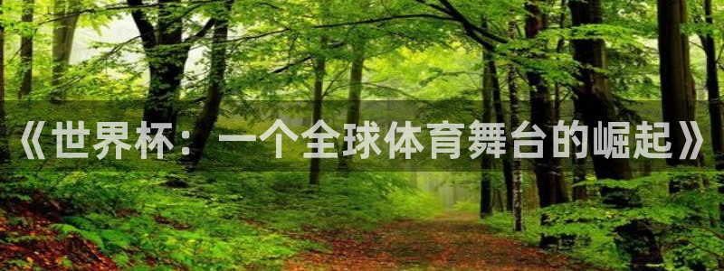 2026年世界杯赛程：《世界杯：一个全球体育舞台的崛起》