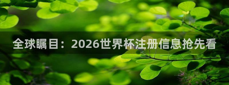 足球世界杯：全球瞩目：2026世界杯注册信息抢先看